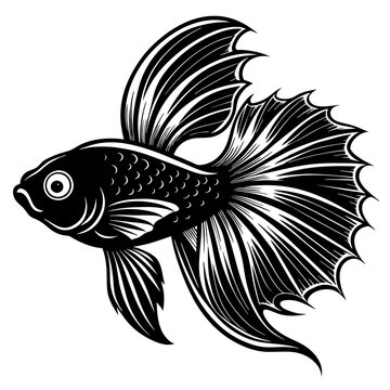 recommend clip art: betta fish silhouette vector illustration