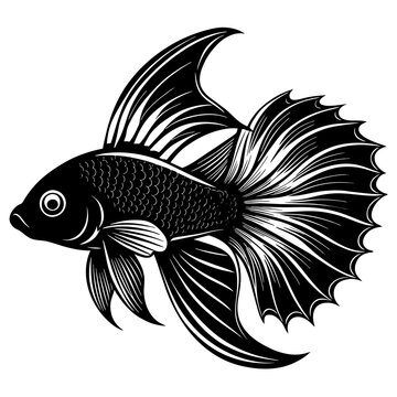 recommend clip art: betta fish silhouette vector illustration