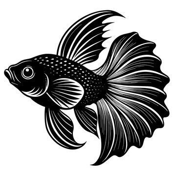 recommend clip art: betta fish silhouette vector illustration