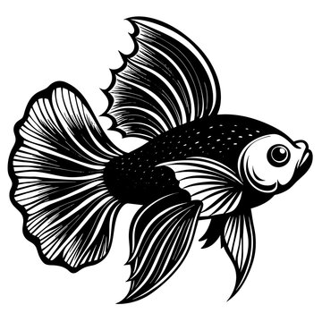 recommend clip art: betta fish silhouette vector illustration