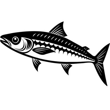black and white mackerel fish clip art preview