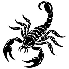 scorpion silhouette vector illustration