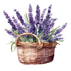 Fototapeta na wymiar Watercolor painting of lavender in a wicker basket