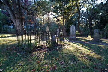 Long shadows of Autumn sunshine on a morning walk through a cemetery