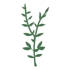 Vector set of spring Easter flowers in flat style isolated on white background.