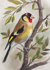 Stunning Pretty Small Goldfinch Sitting In A Tree Oil Paint Styled Wall And Poster Art 300PPI High...