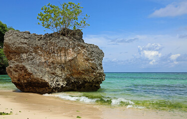 Rock with the tree - Padang Padang Beach - Bali, Indonesia