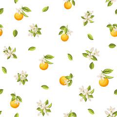 Seamless floral pattern with oranges. Vector illustration. - 778522823