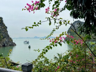 Halong Vietnam 3-14-2024 views of the beautiful Bay and dock at Dau Go Island in Halong Bay Vietnam