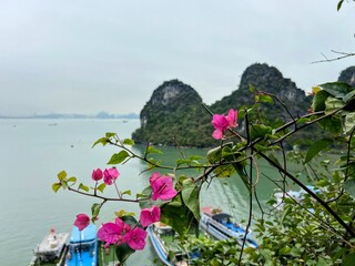 Beautiful scenery of Ha Long Bay Vietnam