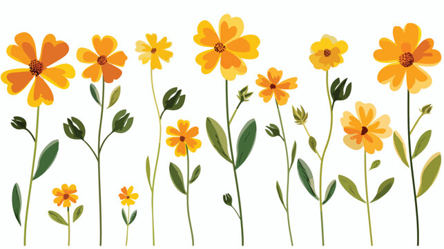 Flowers with yellow strips flat vector isolated on white