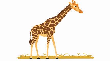 Giraffe zoo animal flat icon flat vector isolated on white