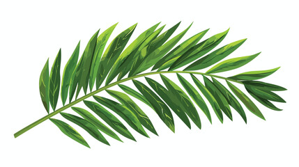 Green palm leaf. Isolated element for your design flat