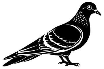 pigeon-silhouette-vector illustration white-background