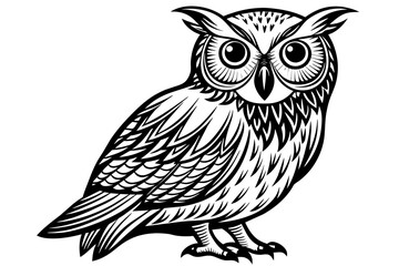 owl--on-a-white-background vector illustration 