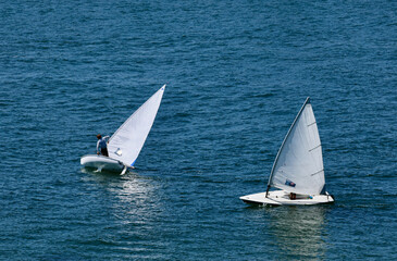 small sailboats tacking across the bay