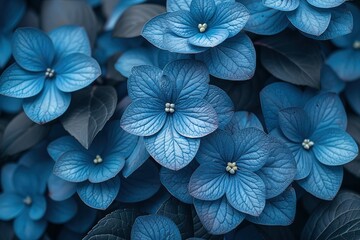 A close up of blue flowers with green leaves - Powered by Adobe
