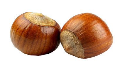 Hazelnut nut isolated on transparent background