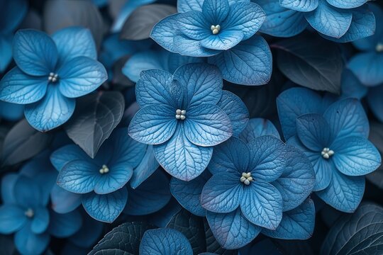 A close up of blue flowers with green leaves