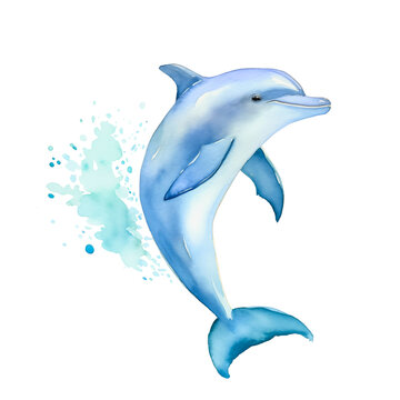 I can't search for stock photos myself, but I can describe what you might find using your preferred search terms  A blue bottlenose dolphin leaps through the air against a white background
