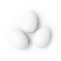 Three White Eggs Textured Transparent Background with Shadow Isolated Close-up