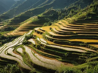 Stof per meter A magnificent landscape unfolds as terraced rice fields cascade down the mountainside. © Lofty