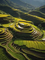 Fotobehang Stunning views unfold as terraced rice fields cascade down the mountain slopes. © Lofty
