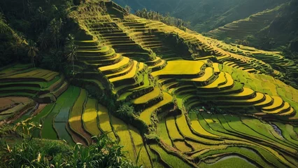 Foto op Plexiglas Stunning views unfold as terraced rice fields cascade down the mountain slopes. © Lofty