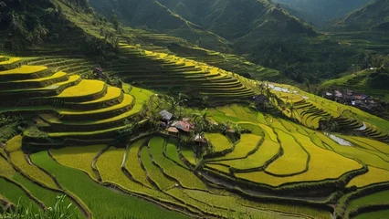  A magnificent landscape unfolds as terraced rice fields cascade down the mountainside. © Lofty