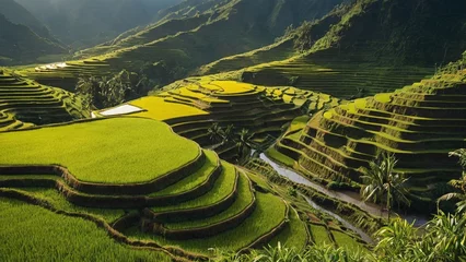 Tissu par mètre Rizières A magnificent landscape unfolds as terraced rice fields cascade down the mountainside.