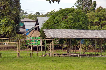 Fototapeta na wymiar Open sided shelter on the edge of a field in Puerto Bolivar, in the Cuyabeno Wildlife Reserve, outside of Lago Agrio, Ecuador