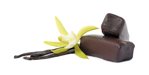Glazed curd cheese bars, vanilla pods and flower isolated on white