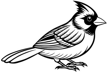 cute-yellow-cardinal-bird vector illustration 