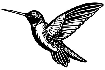 hummingbird--in-full-growth--on-a-white-background vector illustration 