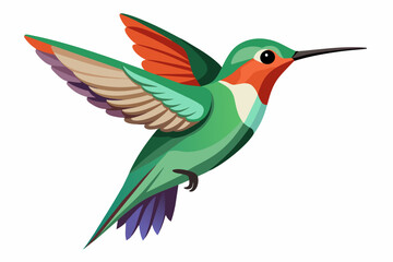 Obraz na płótnie Canvas hummingbird--in-full-growth--on-a-white-background vector illustration 