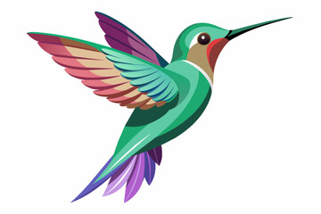 Obraz na płótnie Canvas hummingbird--in-full-growth--on-a-white-background vector illustration 