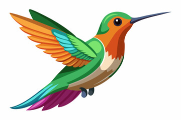 hummingbird--in-full-growth--on-a-white-background vector illustration 