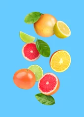 Deurstickers Many different fresh citrus fruits in air on light blue background © New Africa