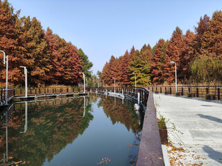 Beautiful view of Bacheng Ecological Wetland Park during autumn session - 778562856