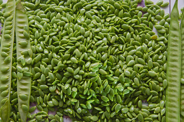 Fresh green graphic of raw white popinac seeds texture
