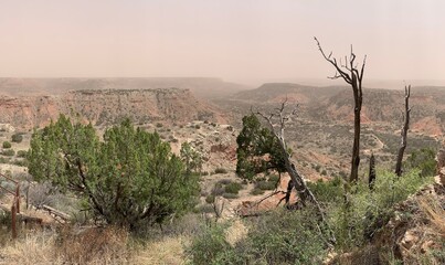 Panaramic View of the Palo Dura Canyon During a Dust Storm
