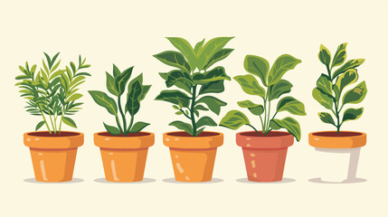 Five pots with plants 2d flat cartoon vactor illust
