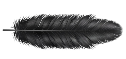 Hand drawn feathers on transparent background, black and white feather sketch