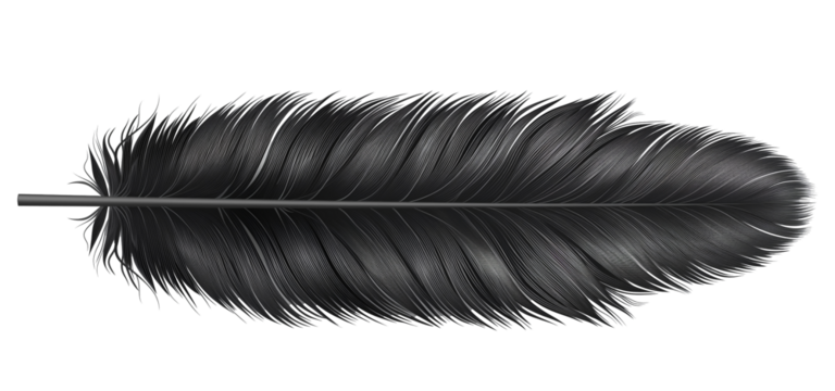 Hand drawn feathers on transparent background, black and white feather sketch