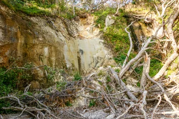 Foto op Plexiglas Cathedral Cove Beach Access Closed: Track Damage from Erosion, Fallen Trees, Rockfalls, and Landslides in Coromandel, New Zealand © nomadkate