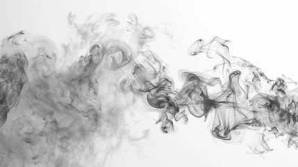 Fototapeta premium Black and white smoke billowing and swirling against a stark white background, creating an abstract and artistic effect