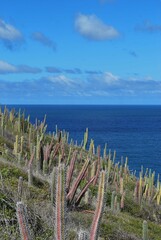 El agua,el mar como elemento comunicante en nuestro ambiente.