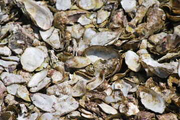 Fondos,texturas pisadas en la arena,agua de mar.