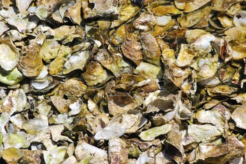 Fondos,texturas pisadas en la arena,agua de mar.