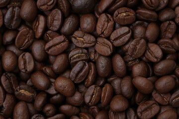 coffee beans background